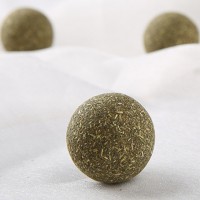 Catnip Ball Healthy Treat Ball for Pets Kitten Cat Relaxing